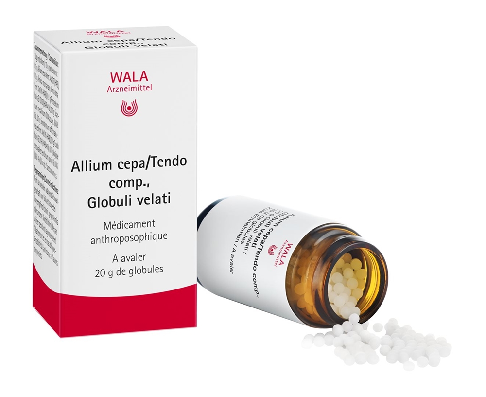 WALA allium cepa/tendo comp., image 3 sur 4