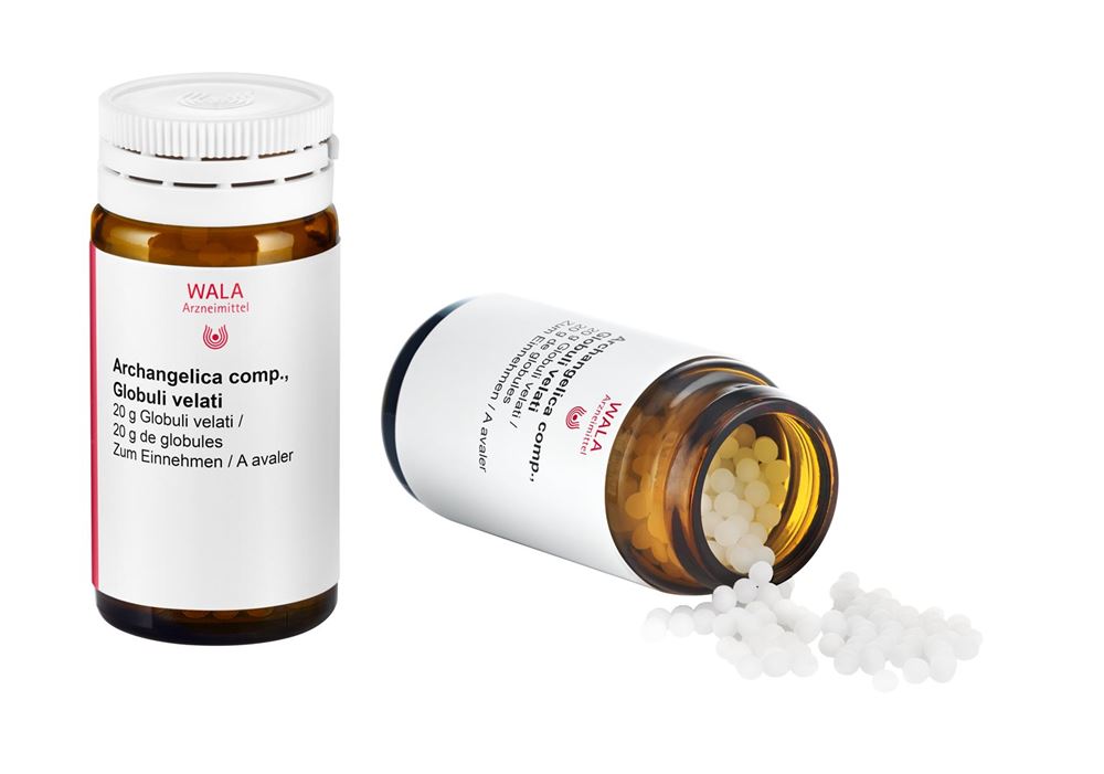 WALA Archangelica comp., Hauptbild