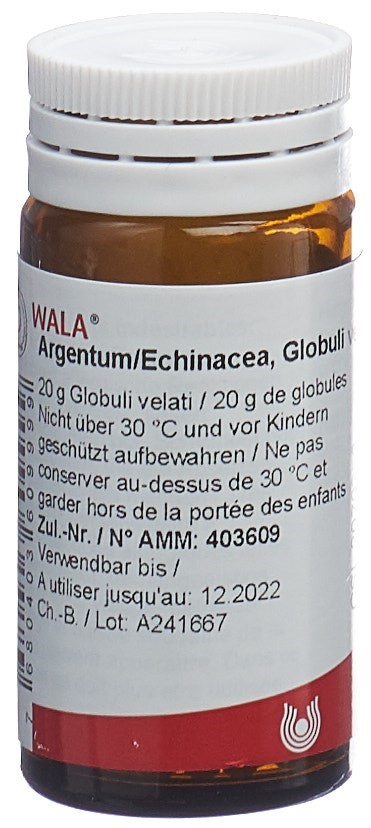 WALA Argentum/Echinacea, Hauptbild