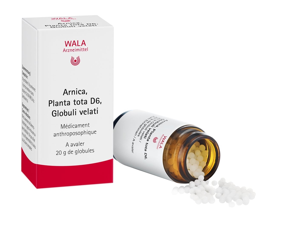 WALA arnica e planta tota 6 D, image 3 sur 4