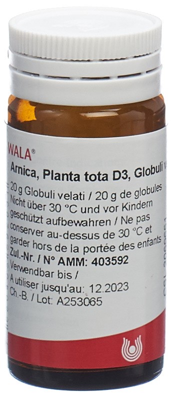 WALA Arnica e planta tota 3 D, Hauptbild