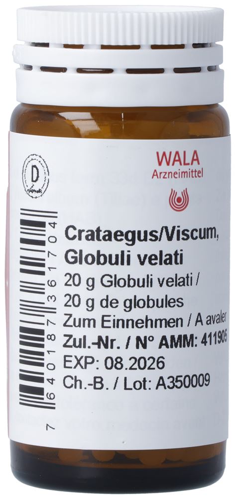 WALA crataegus/viscum, image principale