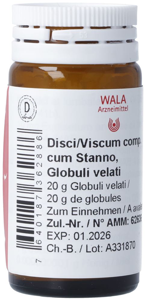 , immagine principale