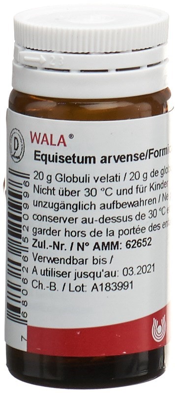 WALA equisetum arvense/formica, image principale