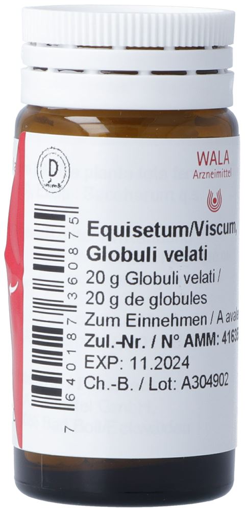WALA Equisetum/Viscum, Hauptbild