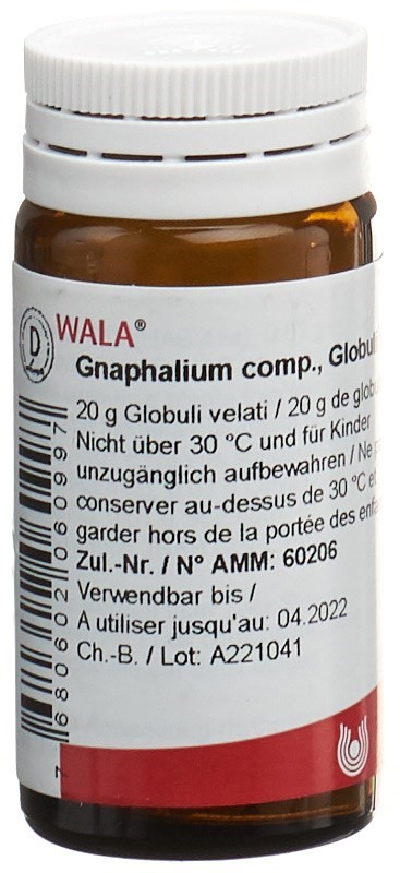 WALA Gnaphalium comp., Hauptbild