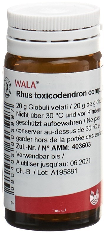 WALA Rhus toxicodendron comp., Hauptbild