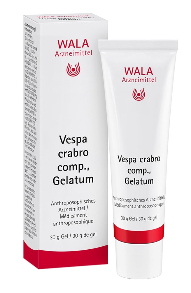 WALA vespa crabro comp., image 2 sur 2