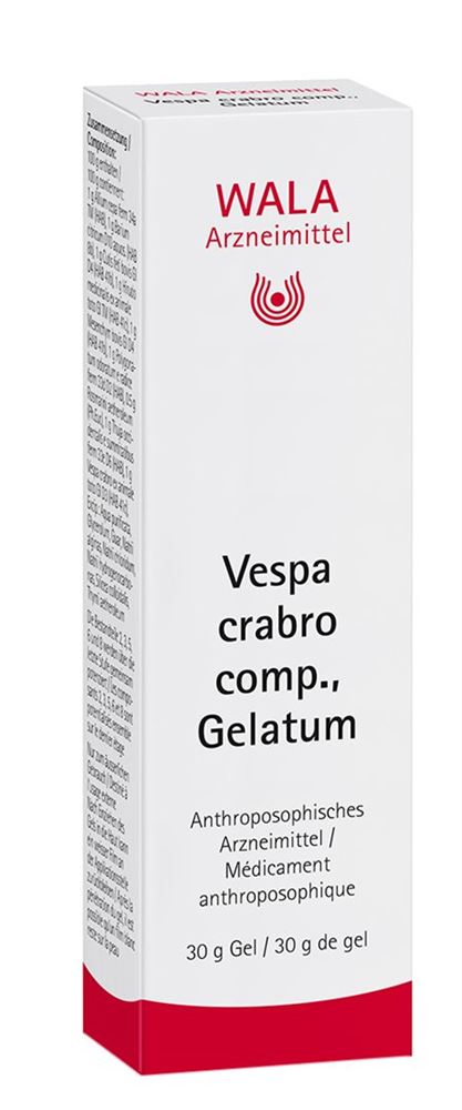 WALA vespa crabro comp., image principale