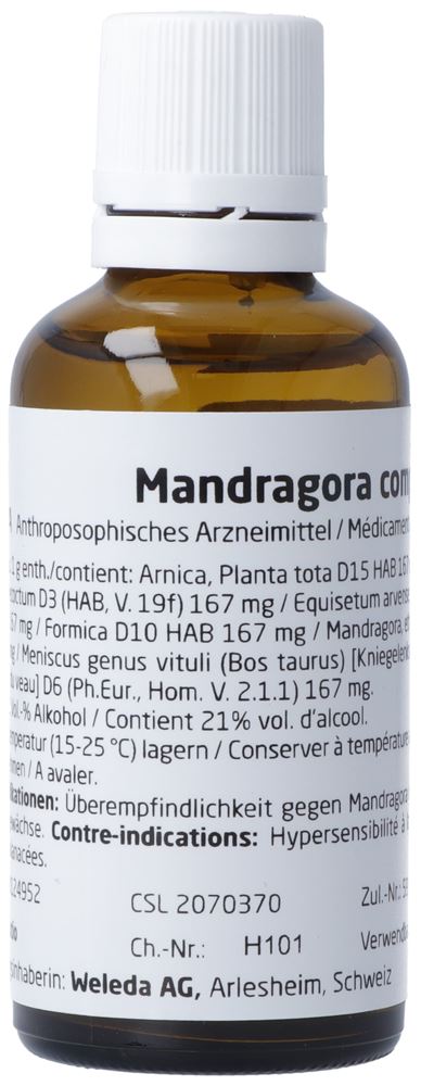 Weleda Mandragora comp, Hauptbild