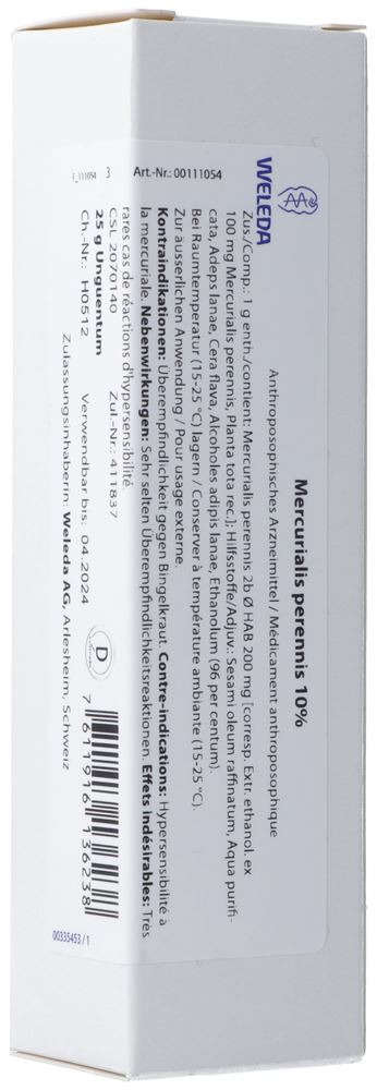 , immagine principale