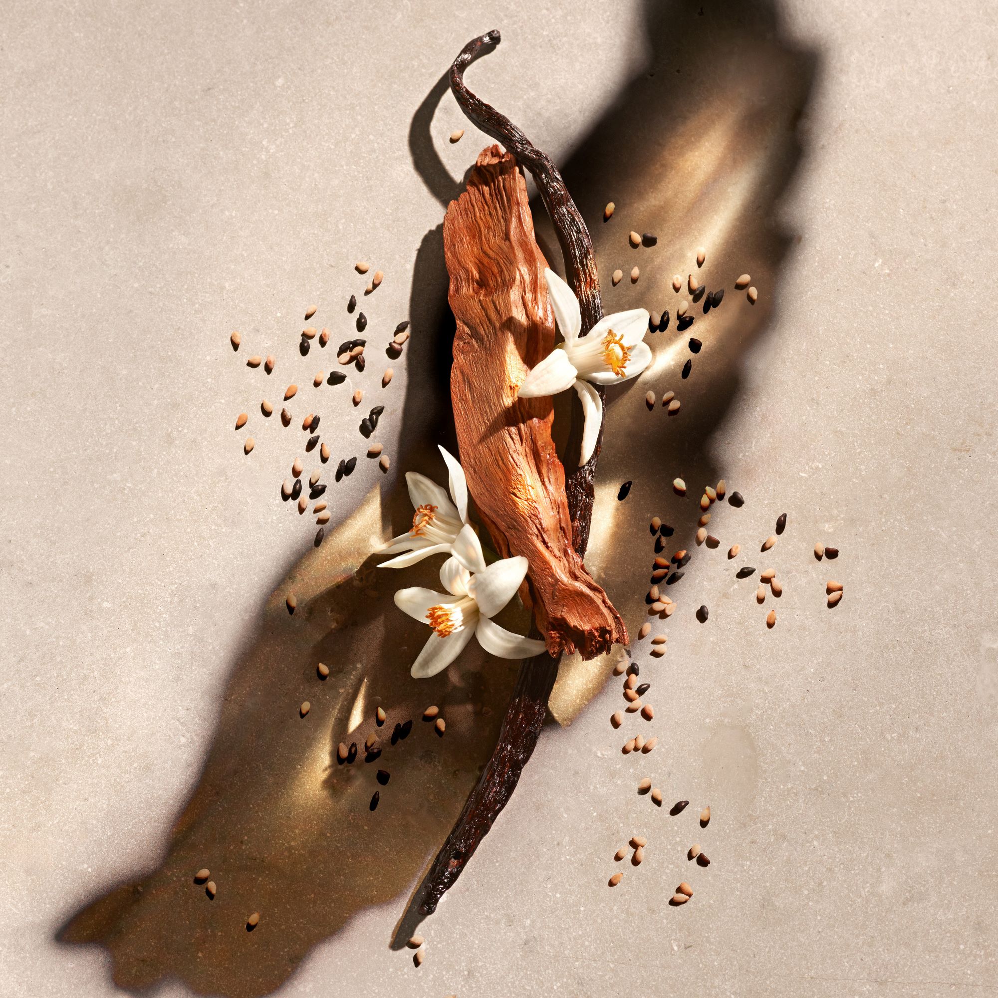 ZADIG&VOLTAIRE ZADIG Eau de Parfum, Bild 4 von 4